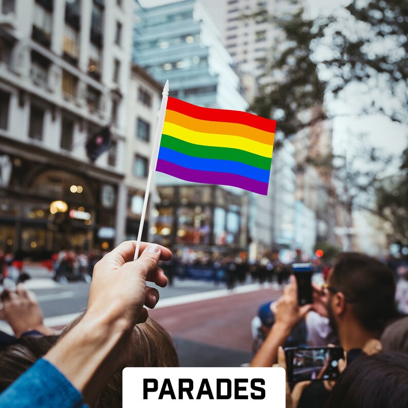 LGBT Rainbow Pride Stick Flags: Handheld Polyester Flags 