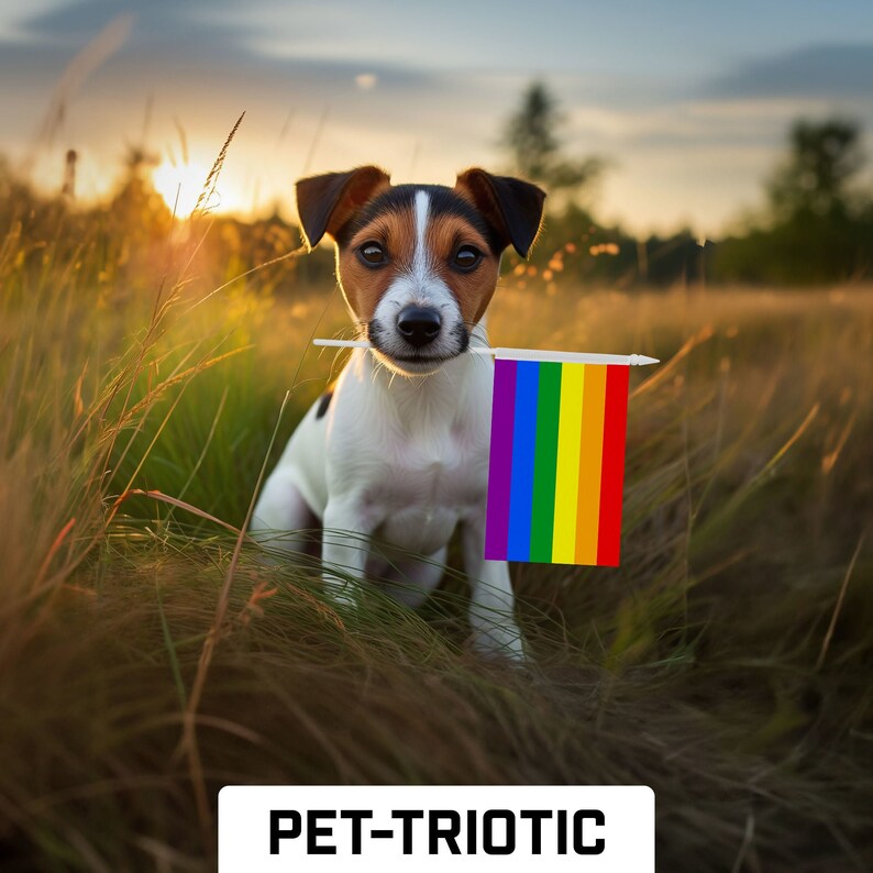 LGBT Rainbow Pride Stick Flags: Handheld Polyester Flags 