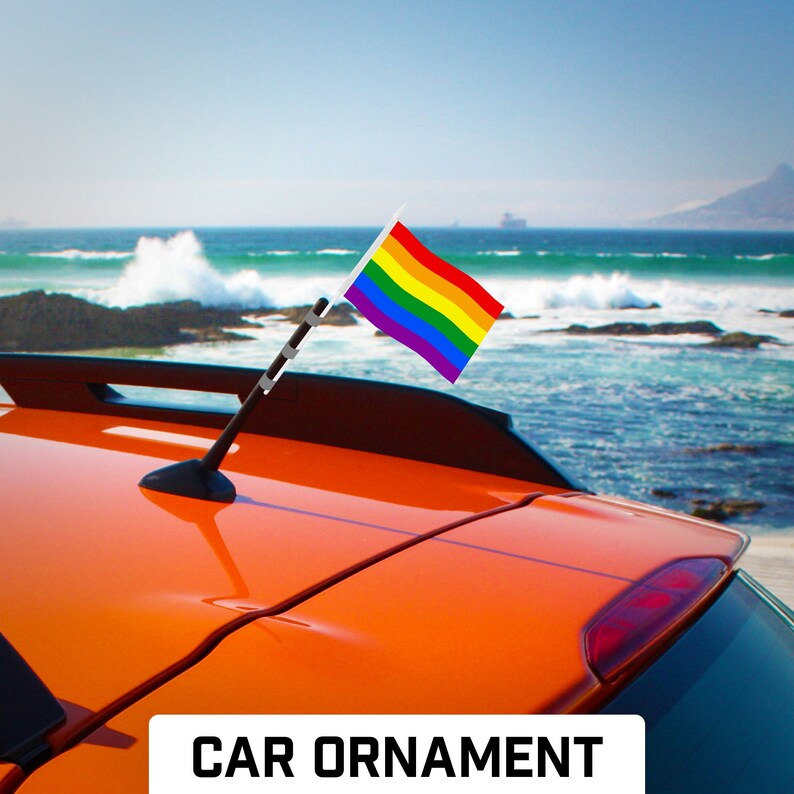 LGBT Rainbow Pride Stick Flags: Handheld Polyester Flags 