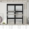  Sliding Closet Door 60"(Double 31") x 80", 3-Lite Frosted Glass Bypass Door with Hardware Kit & Matching Fascia, Pre-Drilled Solid Wood Slab with Water-Proof PVC Surface, Easy to Install, Black