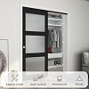  Sliding Closet Door 60"(Double 31") x 80", 3-Lite Frosted Glass Bypass Door with Hardware Kit & Matching Fascia, Pre-Drilled Solid Wood Slab with Water-Proof PVC Surface, Easy to Install, Black