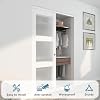 Sliding Closet Door 48"(Double 24.5")x80", 3-Lite Frosted Glass Bypass Door with Hardware Kit & Matching Fascia, Pre-Drilled Solid Wood Slab with Water-Proof PVC Surface, Easy to Install, White