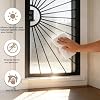 32 in. x 80 in. Security Door, Exterior Front Entry Door, Outswing Steel Security Door with Perforated Metal Screen, Powder Coated Black, Lock Not Include