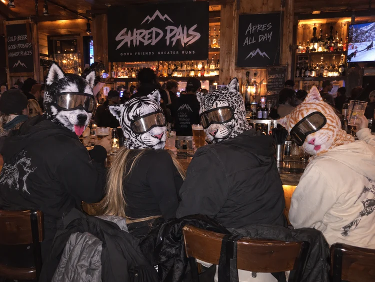 Shred Pals