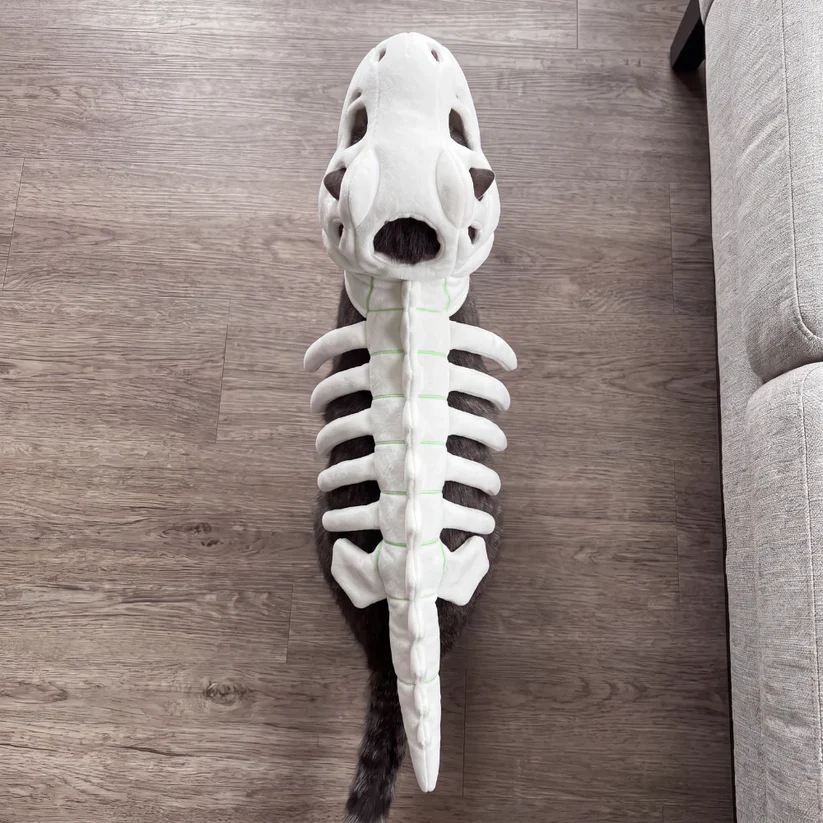 Dinosaur Skeleton Cat Costume