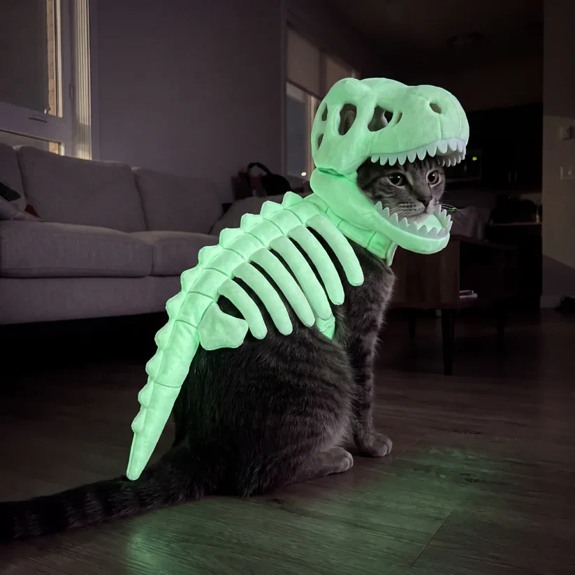 Dinosaur Skeleton Cat Costume