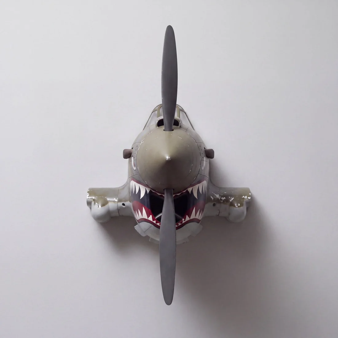 ✈️Aircraft Nose‑Section Wall‑Mount Collectibles