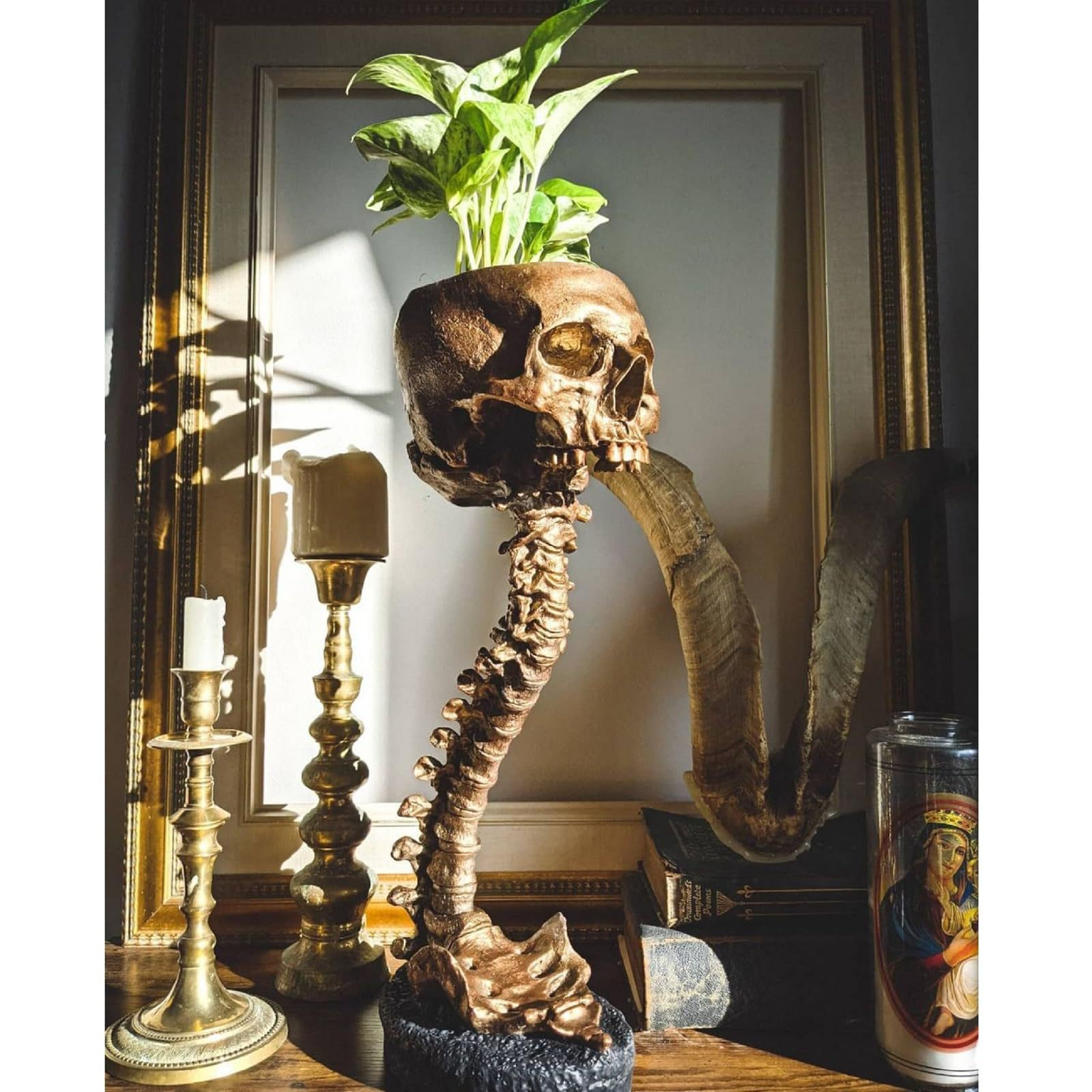💀Modern Resin Skull Wall Planter