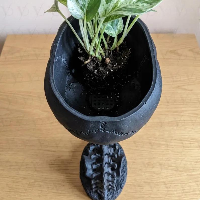 💀Modern Resin Skull Wall Planter