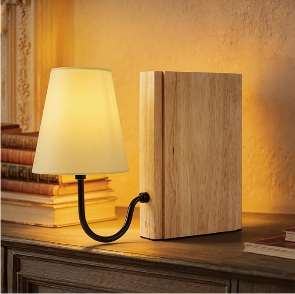 Bookend Style Decorative Table Lamp 📚✨