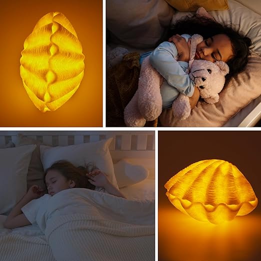 🐚 Conch & Scallop Shell LED Night Light