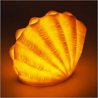 🐚 Conch & Scallop Shell LED Night Light