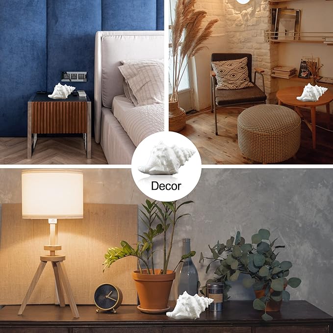 🐚 Conch & Scallop Shell LED Night Light