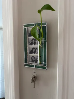 Jade Green Propagation Frame with Hook – Wall-Mounted Photo Strip Display & Glass Plant Propagation Tube – Handcrafted for Plant Lovers