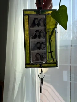 Jade Green Propagation Frame with Hook – Wall-Mounted Photo Strip Display & Glass Plant Propagation Tube – Handcrafted for Plant Lovers