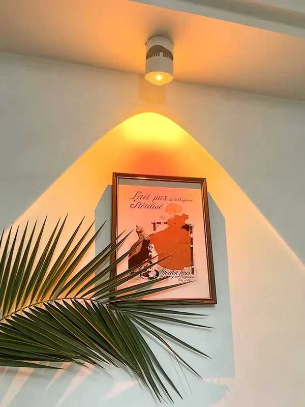 🌞New sunset spotlight Led Down Lamp Interior