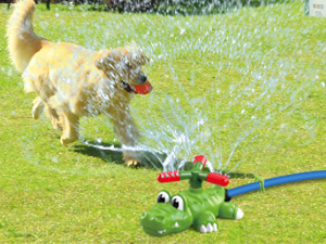 4-in-1 Sprinkler Baseball &amp; Water Ball Toy Outside Water Game Toys for Kids Ages 3-8