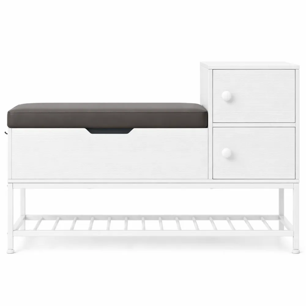 Banc de Rangement pour Chaussures avec Siège Pliable et Chausse-Pied Rétractable
