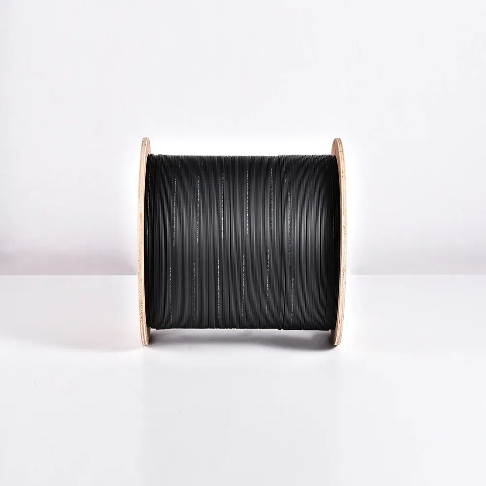 Fiber Optic Cable 1 Core 2 Cores 4 Cores 1 Kilometer 2 Kilometers FTTH Descent Cable Single-mode Indoor and Outdoor-boxintelecom