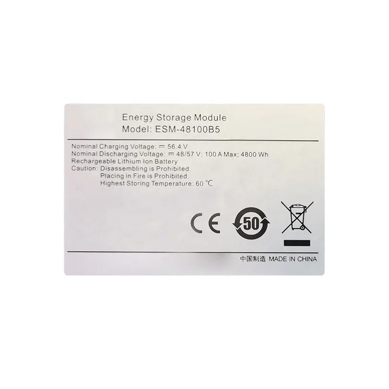 ESM-48100B5 48V 100Ah Lithium Iron Phosphate Battery Module LiFePO4 Energy Storage Module-boxintelecom
