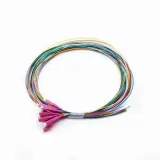 OS2 9/125 Singlemode FC/UPC 12 Fibers Fiber Optic Patch Cable SC/SC APC Connectors 2 Core 