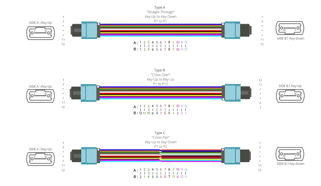 Hot sale 1m 5m 20m MPO Trunk Cable to MPO-12 UPC Male 48 Fibers Multimode OM4 Plenum OFNP Type B Double Jacket 2