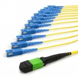 Single Mode OS2 Fiber Cable 12 MPO/MTP to SC/UPC/APC Fanout Patch Cord with Standard Loss 