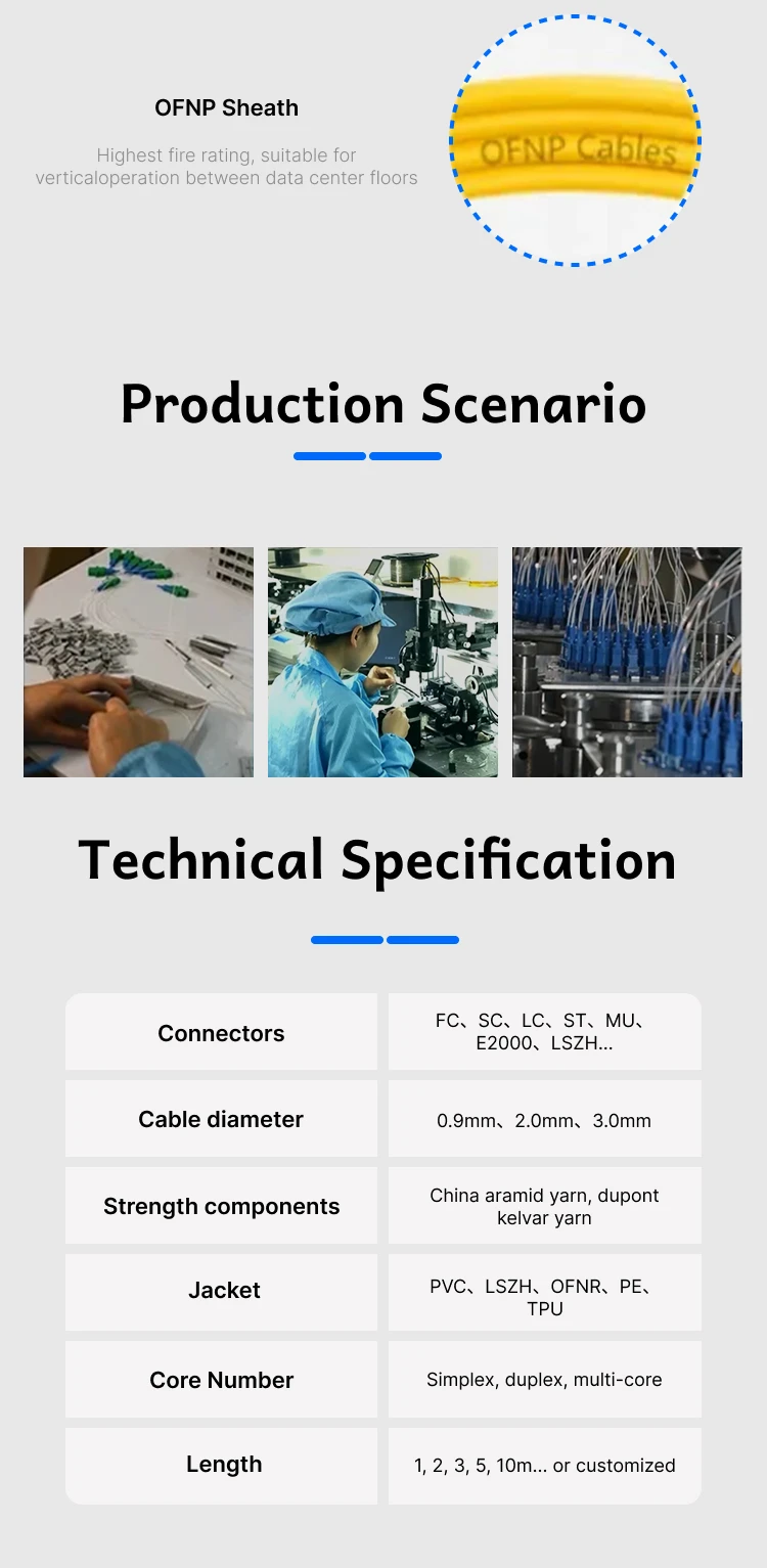 Optical SC LC FC ST MTP MPO Jumper Cable SM E2000 Fiber Optic Patch Cord 1