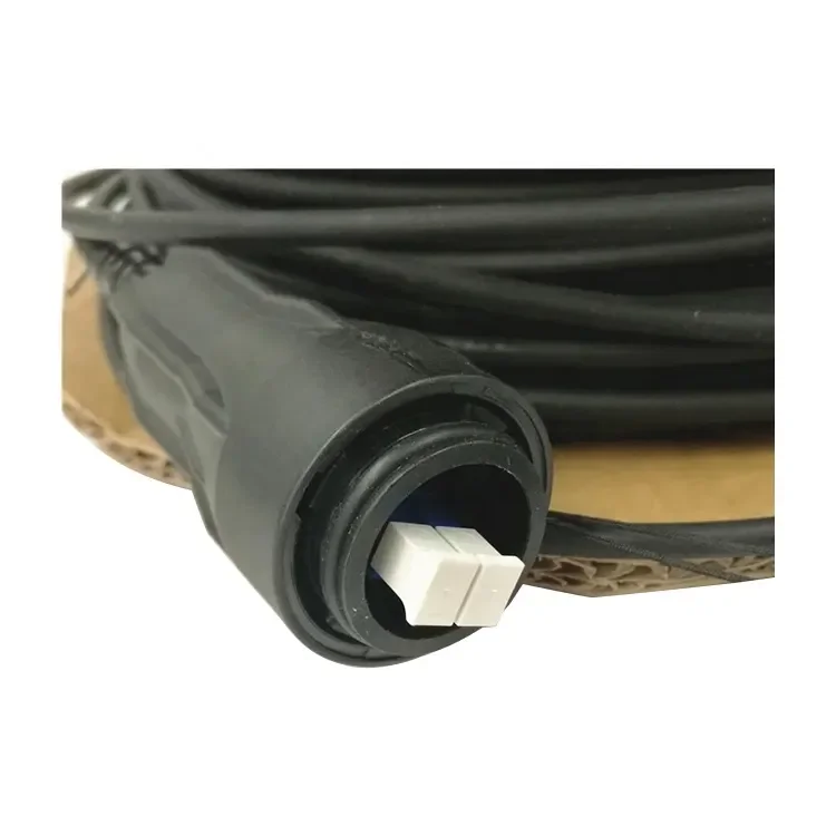 2FC(FULLAXS)-LC Single-mode 30M Fiber Optic Cable ERI RPM2531610