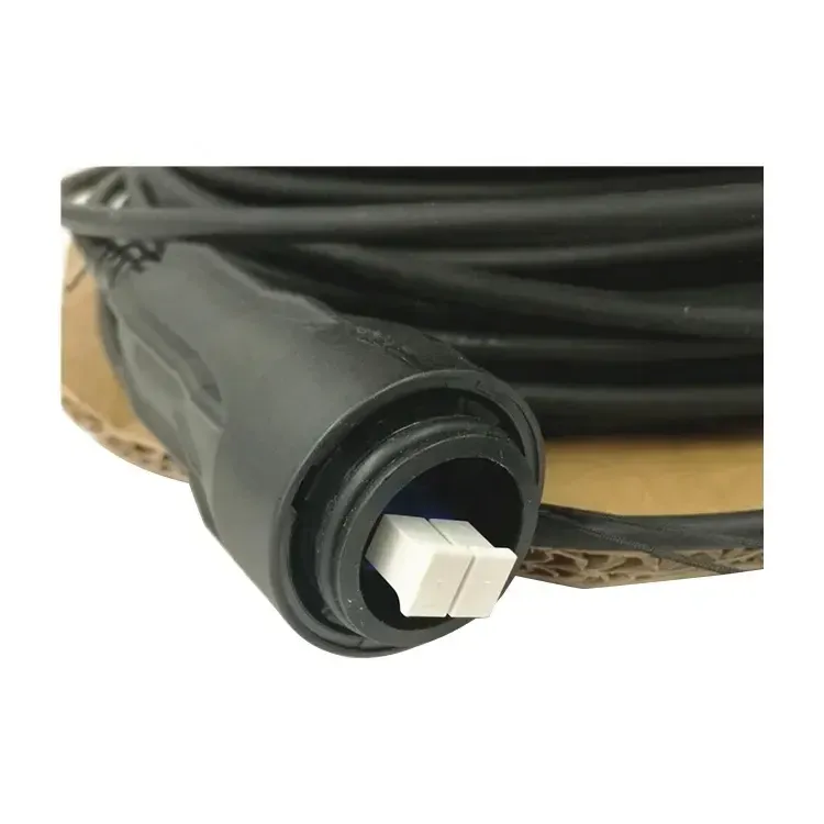 2FC(FULLAXS)-LC Single-mode 30M Fiber Optic Cable ERI RPM2531610