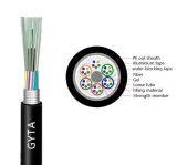 GYTA Single Mode Multi Mode Outdoor Fiber Cable PE Outer Sheath Armored Optical Cable Fact