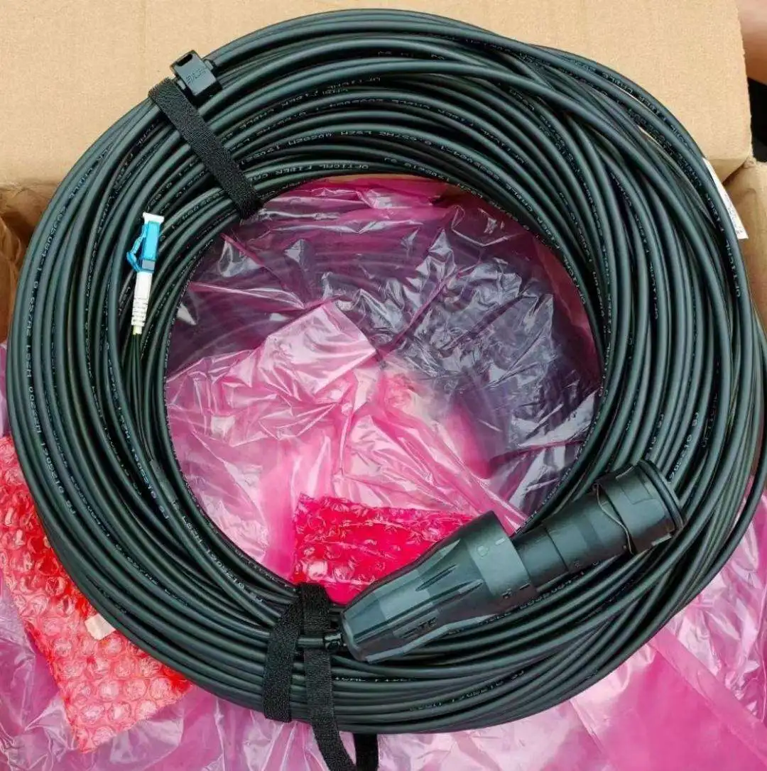 2FC(FULLAXS)-LC Single-mode 30M Fiber Optic Cable ERI RPM2531610