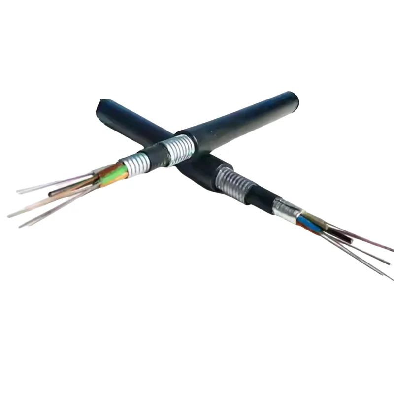 GYTA53 Optical Fiber G652D Duct Direct Burial 720 Core PE Jacket Steel Tape Armored Fiber Optic Cable 100m OEM Base Station Use-boxintelecom