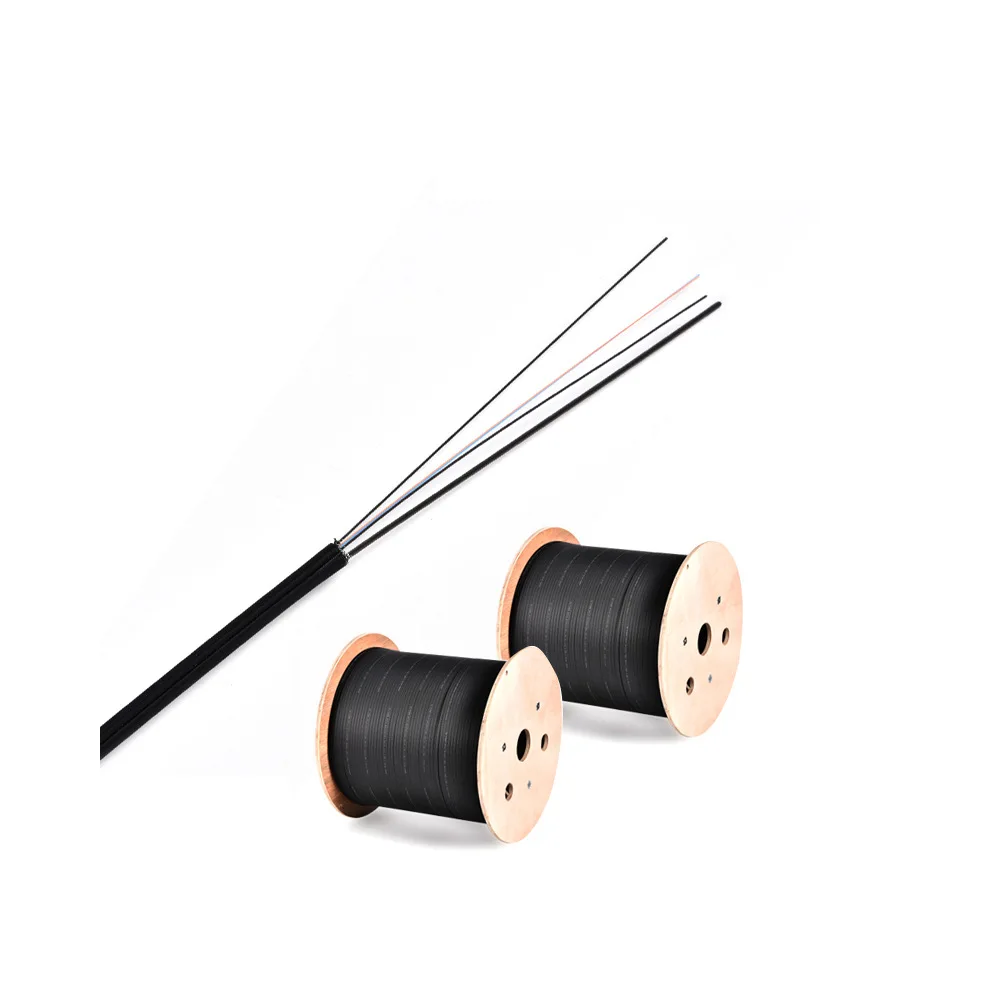 Fiber Optic Cable 1 Core 2 Cores 4 Cores 1 Kilometer 2 Kilometers FTTH Descent Cable Single-mode Indoor and Outdoor-boxintelecom