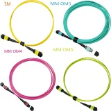 8 12 24 Core Fiber Optical MPO MTP Female Patch Cord 3.0mm Customize Length SM OM3 OM4 Low