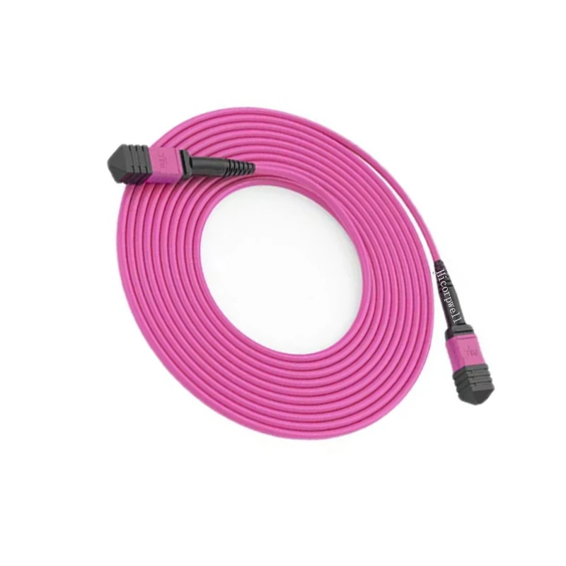 12-Core OM3 OM4 MPO-FC MPO Fiber Optic Cable LC UPC 12C ODF Patch Panel for Mpos Machine-boxintelecom