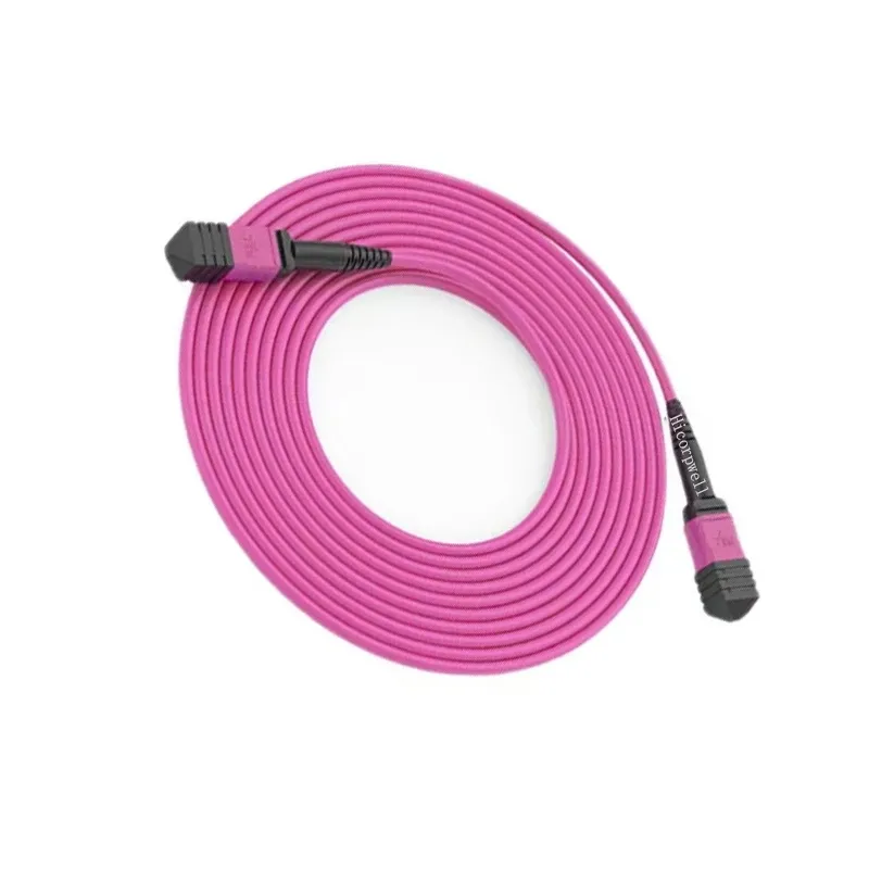 12-Core OM3 OM4 MPO-FC MPO Fiber Optic Cable LC UPC 12C ODF Patch Panel for Mpos Machine-boxintelecom