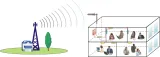 Amplifier GSM900/LTE1800/UMTS2100 Single Band Digital Bandwidth Adjustable Pico Repeater