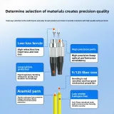 Single-Mode 10g Dual-Core Fiber Optic Jumper 1-50m Optional LC-Fc 9/125 Pigtail for FTTH