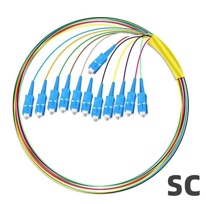 12 Core SC/FC/LC/ST Singlemode Pigtail Fiber Optic Cable - Telecom-Grade Bundle Fiber Patc