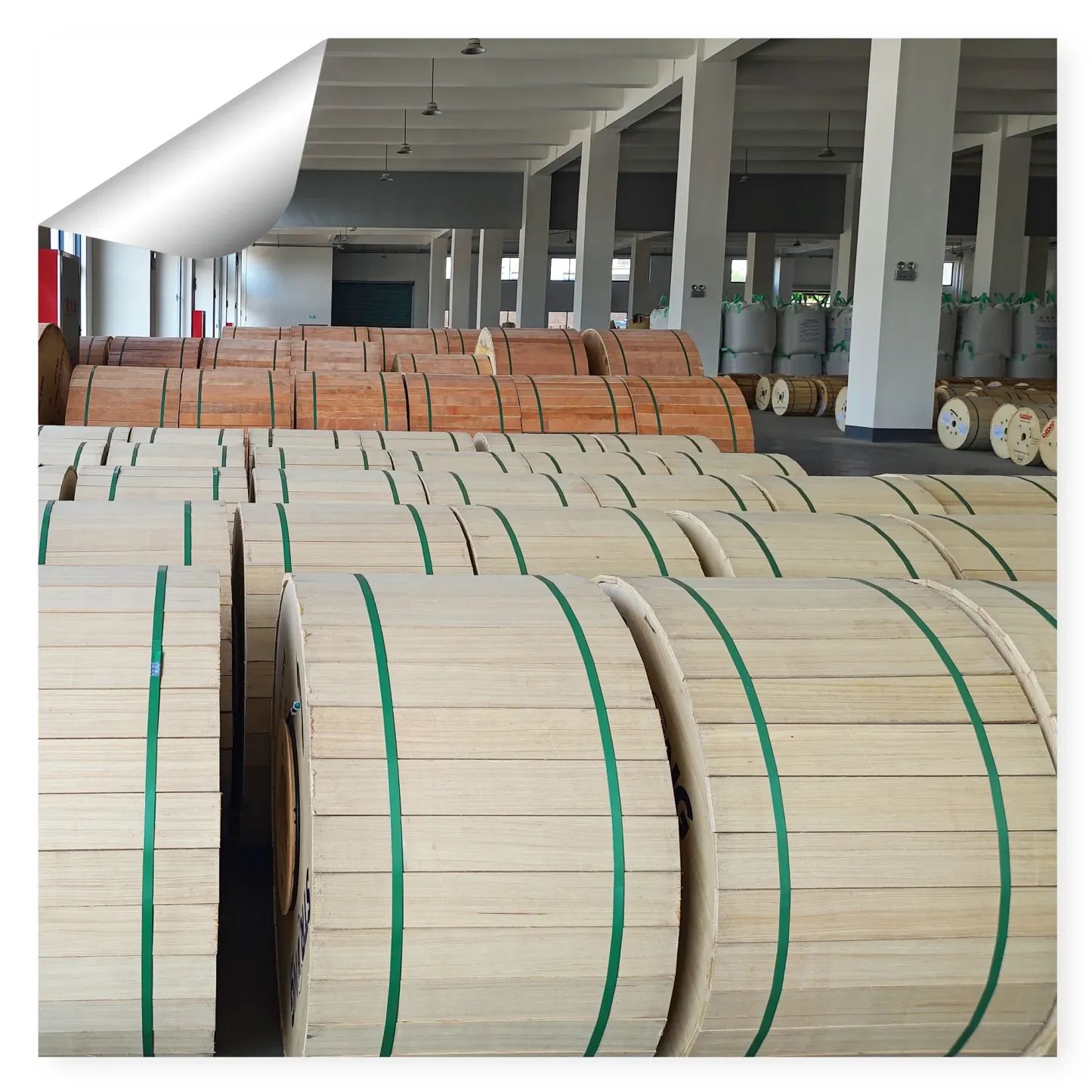 Outdoor Indoor Dropcore 12 Core Single Core 2cores 1f G652d Yellow Pigtail Fiber Optic FTT
