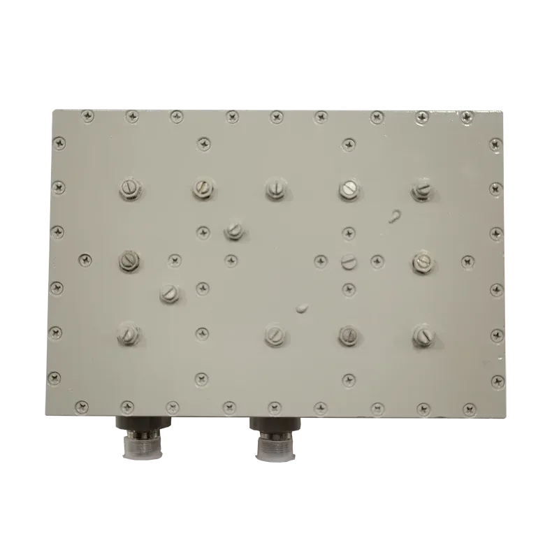 Hot Sale Power 300W RF Filter UHF RF TX 361-366MHz Filter with N Female Connector