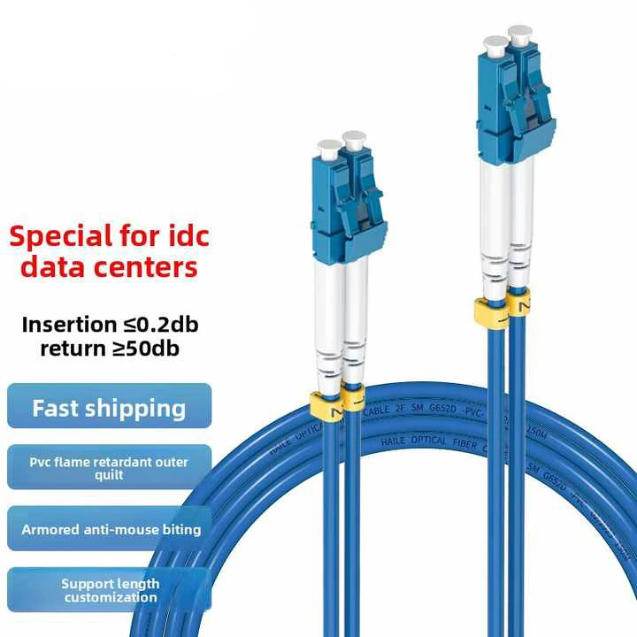 Anti-Mouse Bite Armored Fiber Optic Cable Telecom Grade 5m Single Mode Dual Core Pigtail