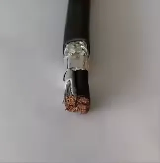 2X2.5mm 2X6mm 2X10mm 2X16mm Base Station Cable RRU BBU DC Power Cable-boxintelecom