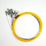 High Quality ST/UPC-12 CORE Pigtail Fiber Optic Patch Cord Cable Qingdao APT FTTH Factory 