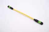 Mpo-Mpo Female Connectors 12 Fiber Multi-Mode OM3 Optical Fiber Patch Cord with 30m Factor