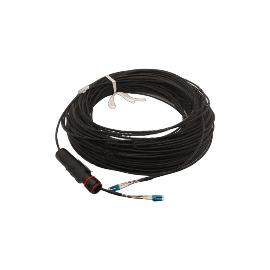 2FC(FULLAXS)-LC Single-mode 30M Fiber Optic Cable ERI RPM2531610