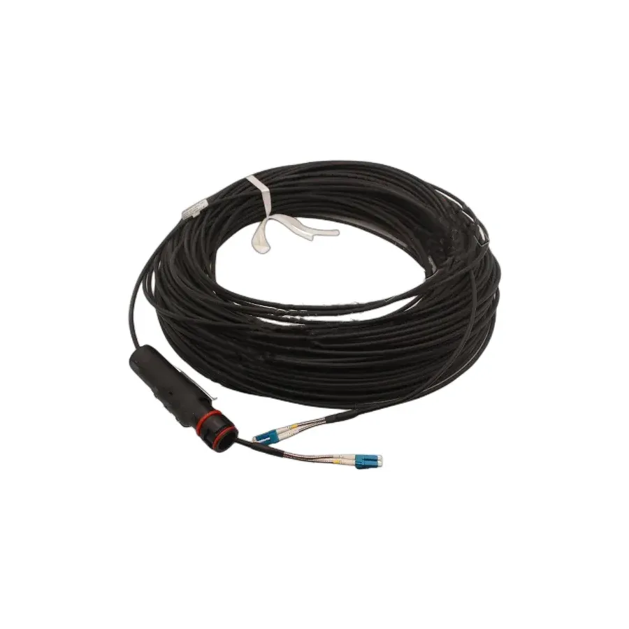 2FC(FULLAXS)-LC Single-mode 30M Fiber Optic Cable ERI RPM2531610