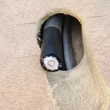 RG8U coaxial cable 50-7