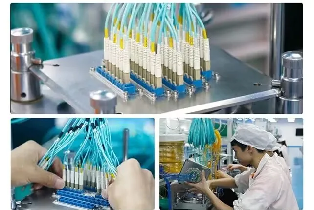 Hot sale 1m 5m 20m MPO Trunk Cable to MPO-12 UPC Male 48 Fibers Multimode OM4 Plenum OFNP Type B Double Jacket 5